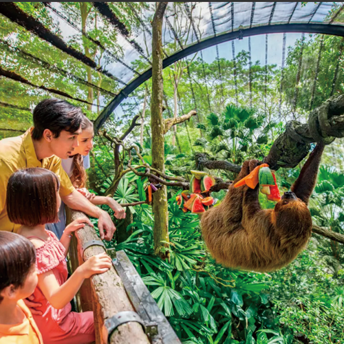 シンガポール動物園 子連れ