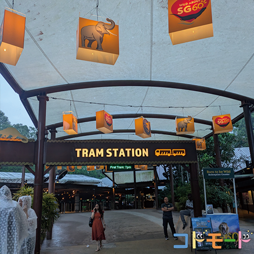 シンガポール動物園 子連れ（ナイトサファリ）