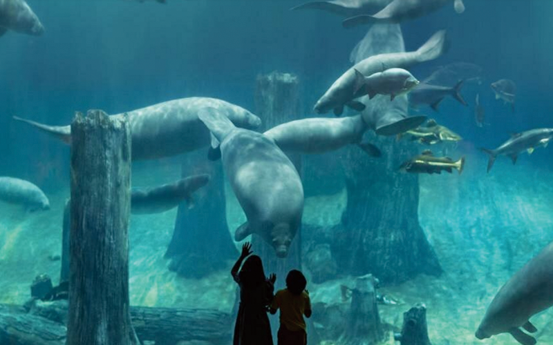 シンガポール動物園 子連れ（リバーワイルド）