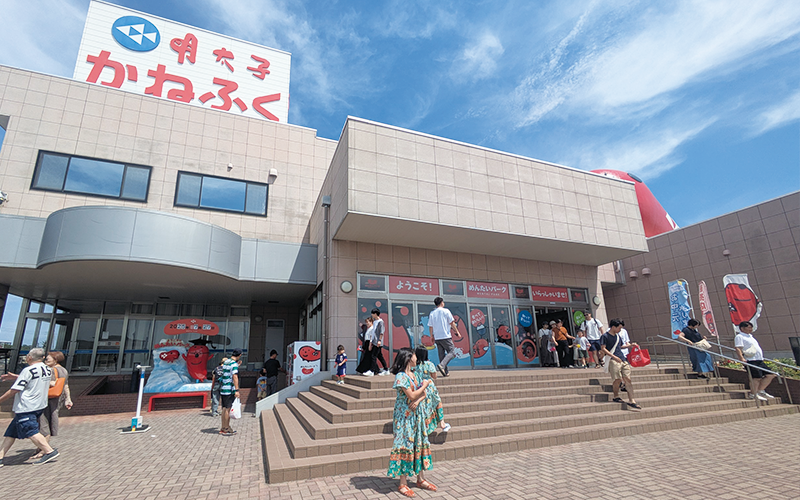 大洗　子供連れ　日帰り　めんたいパーク１