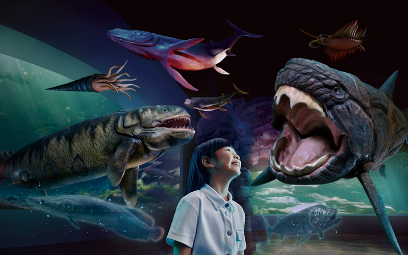 シンガポールセントーサ 子連れおすすめ（シンガポールオーシャナリウム）