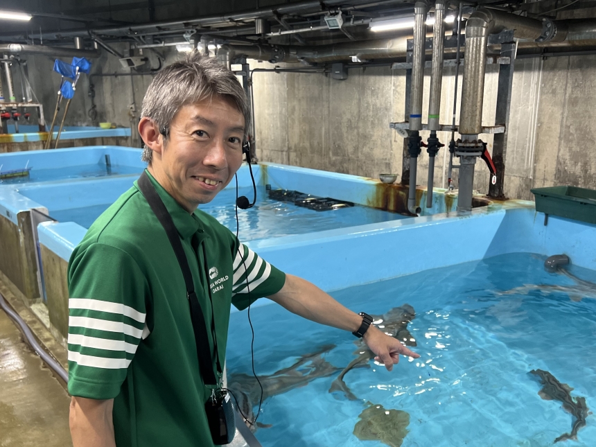 大洗　子供連れ　日帰り　アクアワールド茨城大洗水族館（バックツアー）２