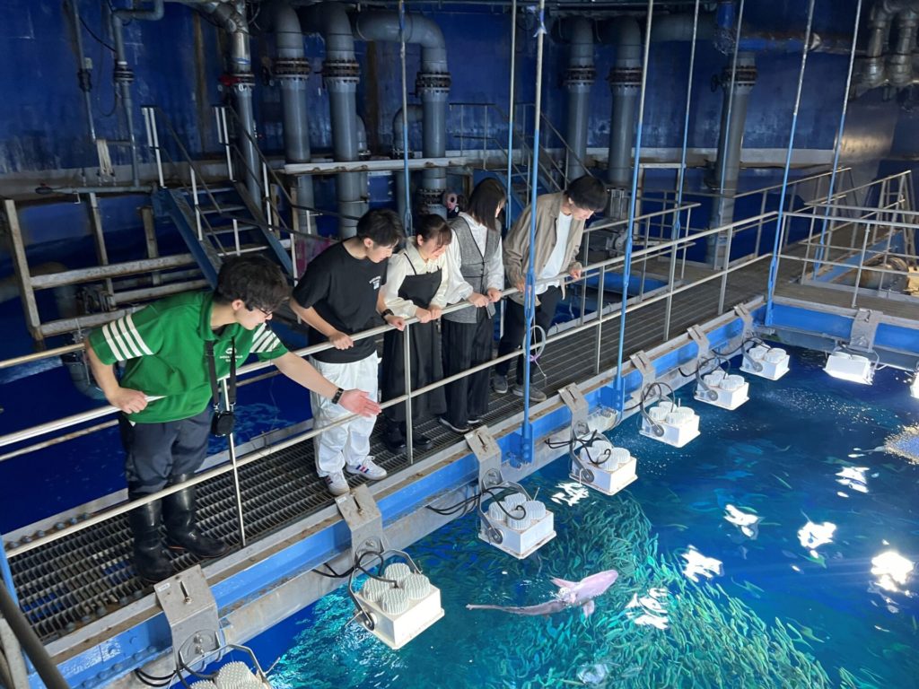 大洗　子供連れ　日帰り　アクアワールド茨城大洗水族館（バックツアー）１