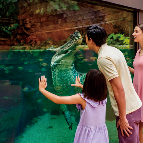 シンガポール動物園 子連れ（リバーワイルド）