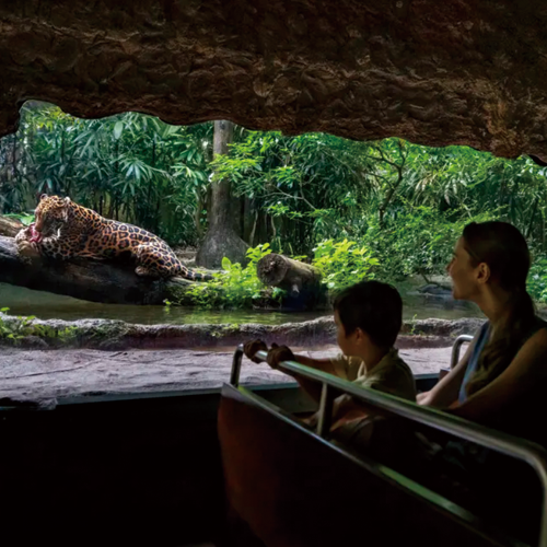シンガポール動物園 子連れ（リバーワイルド）