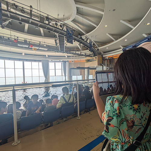 大洗　子供連れ　日帰り　アクアワールド茨城大洗水族館（イルカショー）２